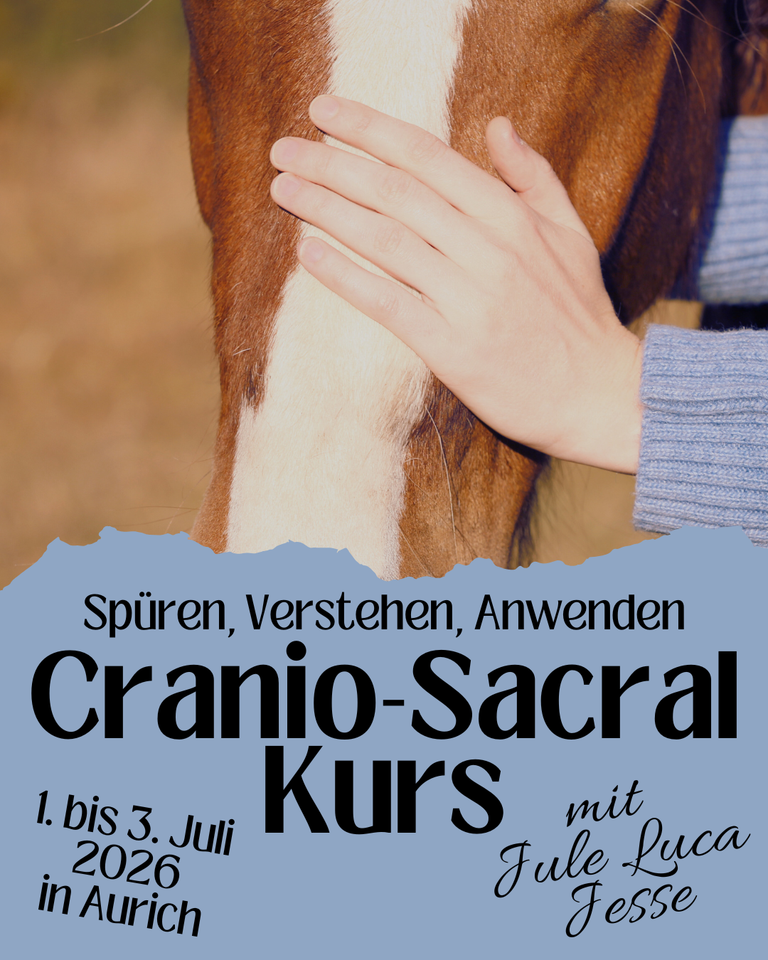 Jule Luca Jesse kommt im Juli 20226 nach Aurich-Wiesens, Vertiefung der Craniosacralen Therapie, spüren, verstehen und anwenden. Therapeuten